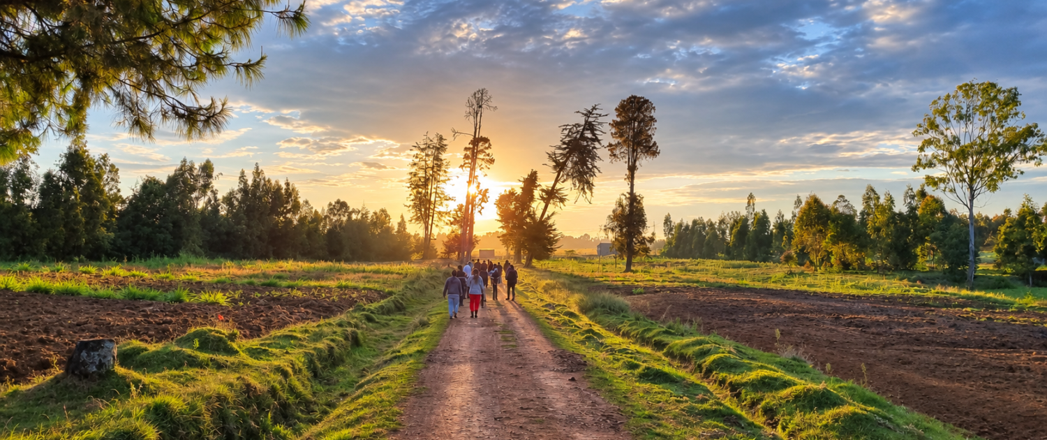 day-tours-sunset-walk-slider-v1